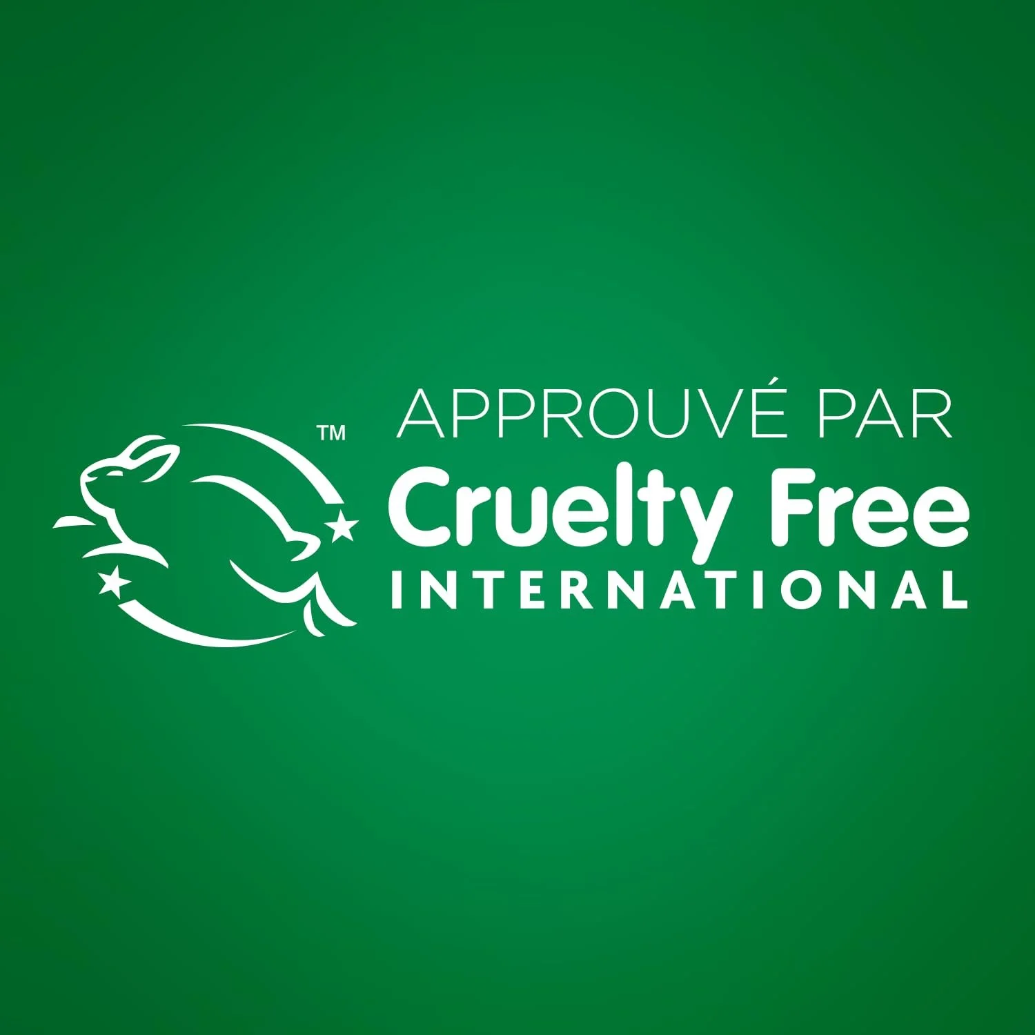 Напівстійка фарба для волосся Garnier Olia Patine Brillance Попелястий блонд, фото №4