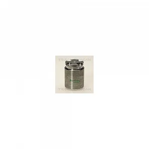 Поршень тормозного суппорта TRISCAN 8170 233411 - Фото 1