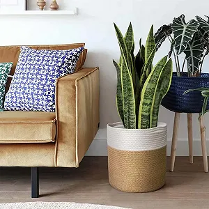 Корзина для растений 25 см Хлопковая нить Boho С ручками Бело-серая synthetic.ua - Фото 1