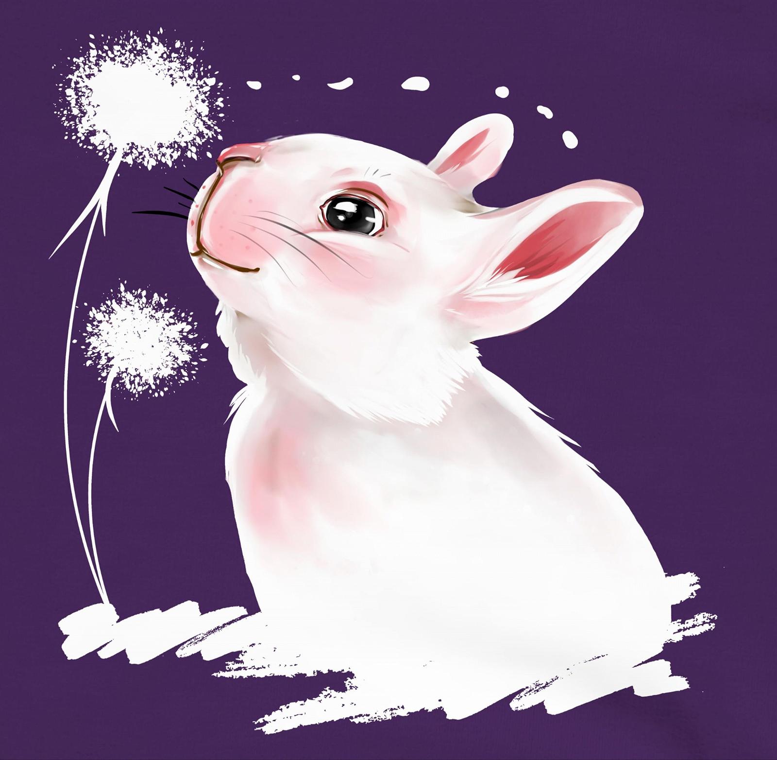 Дитяча Толстовка для Хлопчиків та Дівчаток Shirtracer Великодні подарунки Кролик з Кульбабою, фото №2