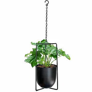 Підвісний кошик Bolo Металевий Декоративний Чорний - Фото 1