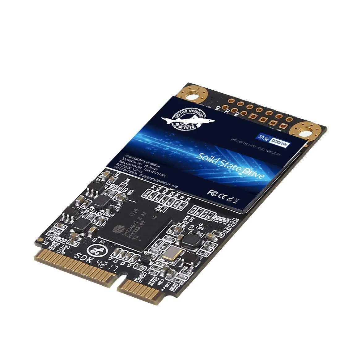 SSD Dogfish 1TB mSATA, фото №1