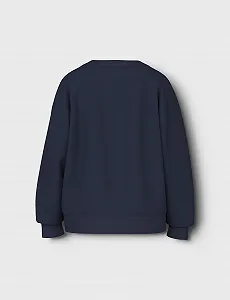 Свитшот NAME IT Nkfvanita LS RLX Sweat Unb для девочек synthetic.ua - Фото 1