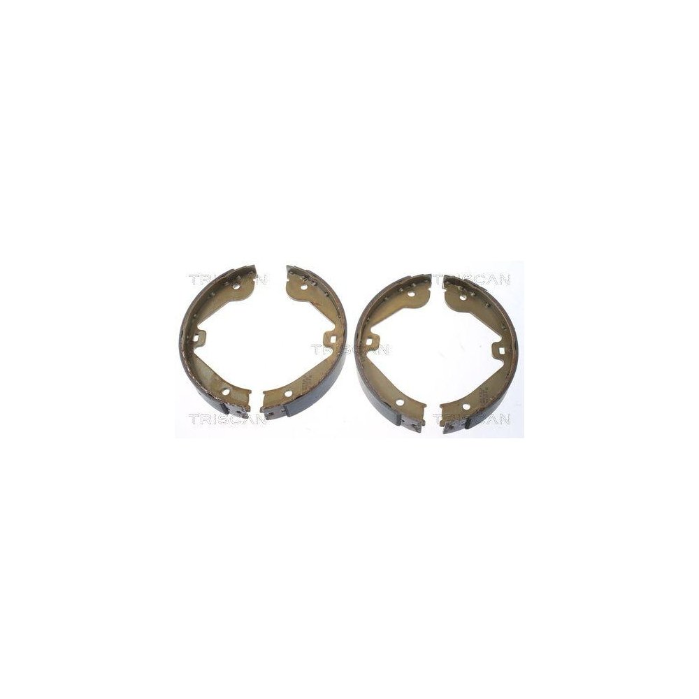Комплект тормозных колодок TRISCAN 8100 10022, фото №1