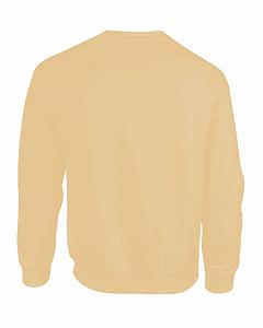 Толстовка с капюшоном AMERICAN COLLEGE USA Unisex Детская для мальчиков и девочек synthetic.ua - Фото 1