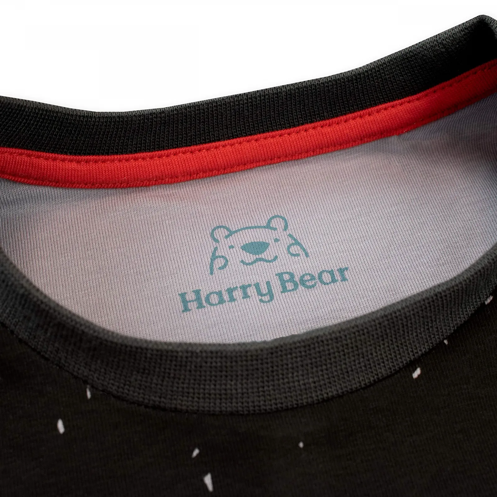 Комплект піжамний Harry Bear Monster Slim Fit для хлопчиків, фото №5 Комплект піжамний Harry Bear Monster Slim Fit для хлопчиків, фото №5