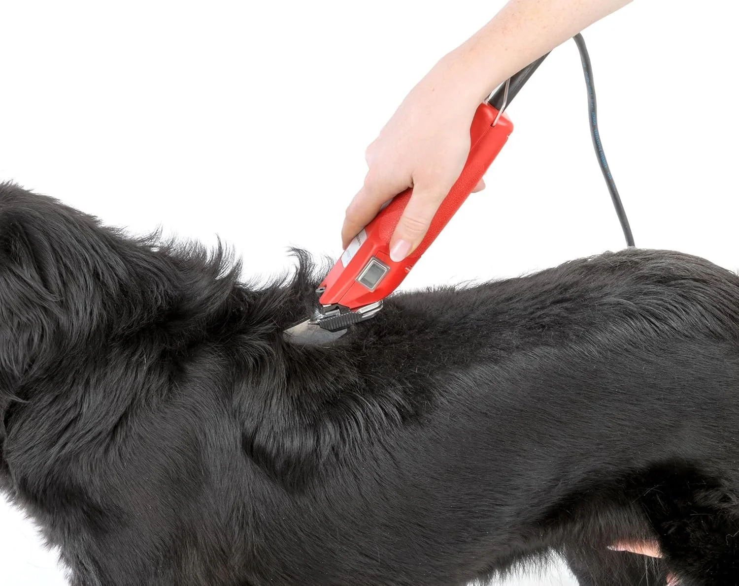 Машинка для стрижки Aesculap Favorita Speed GT114 Red, фото №6 Машинка для стрижки Aesculap Favorita Speed GT114 Red, фото №6