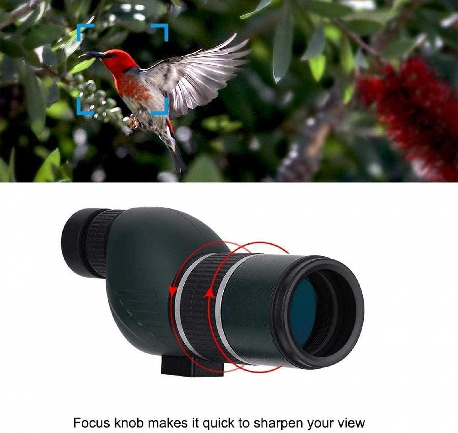 Монокуляр Outdoor Accessories Monocular 12-36X Zoom Monocular з триподом, фото №4