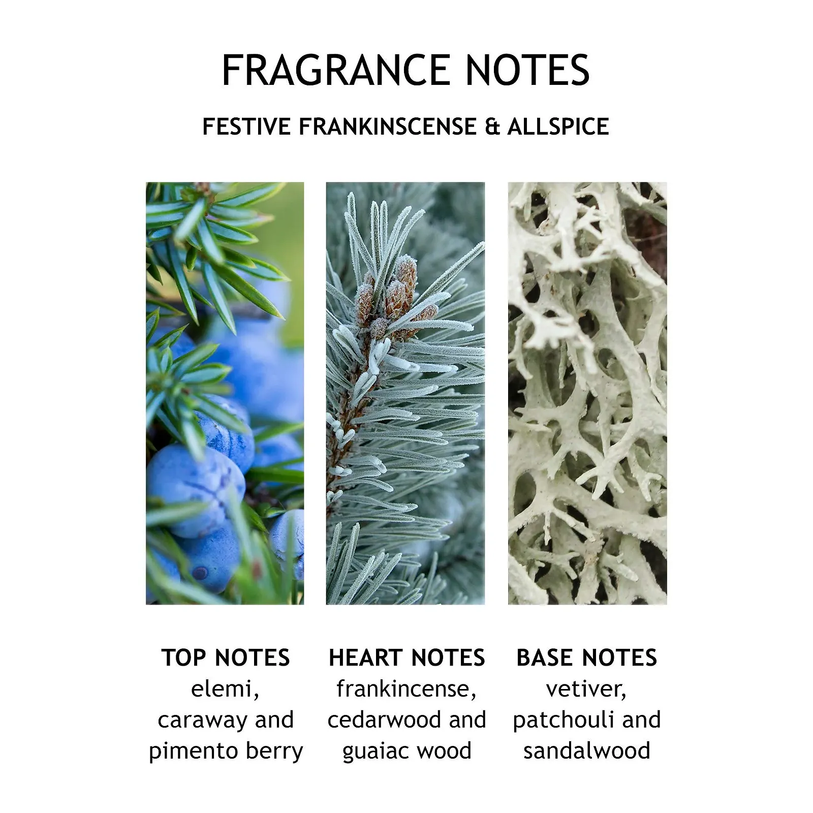 Лосьйон для рук Molton Brown Festive Frankincense & Allspice, фото №4