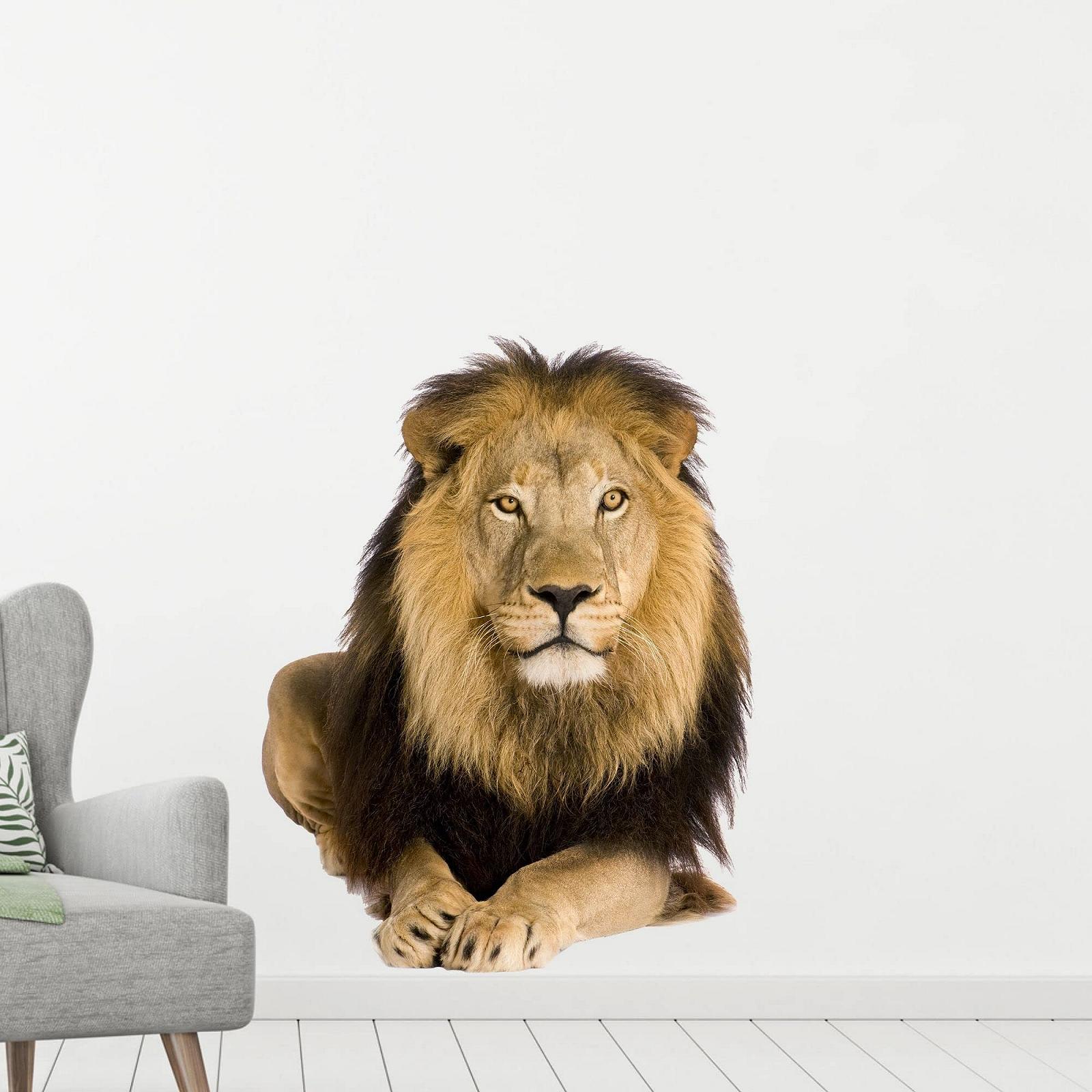 Наклейка на стіну GRAZDesign Lion Savannah Africa 3D 74 x 57 см, фото №3