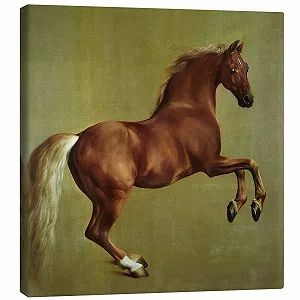 Картина на полотні Posterlounge Whistlejacket Джордж Стаббс 20 x 20 см зелена - Фото 1