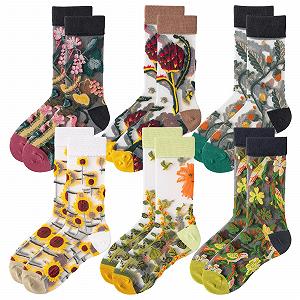 Носки женские прозрачные узорные 6Paa, носки с кружевом, ультратонкие короткие шелковые чулки с цветочным узором, летние носки - Фото 1