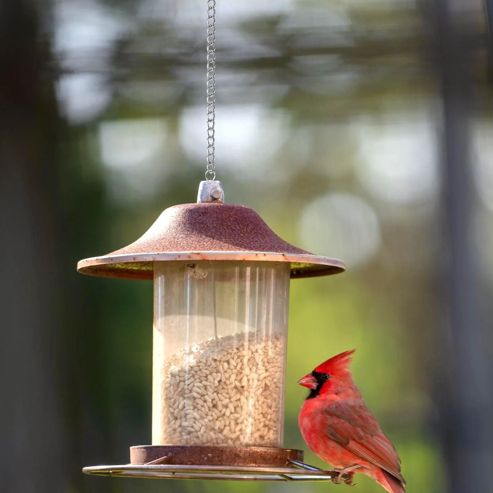Ланцюги для підвісних кошиків 12 шт 54 см сріблясті, фото №6 Ланцюги для підвісних кошиків 12 шт 54 см сріблясті, фото №6