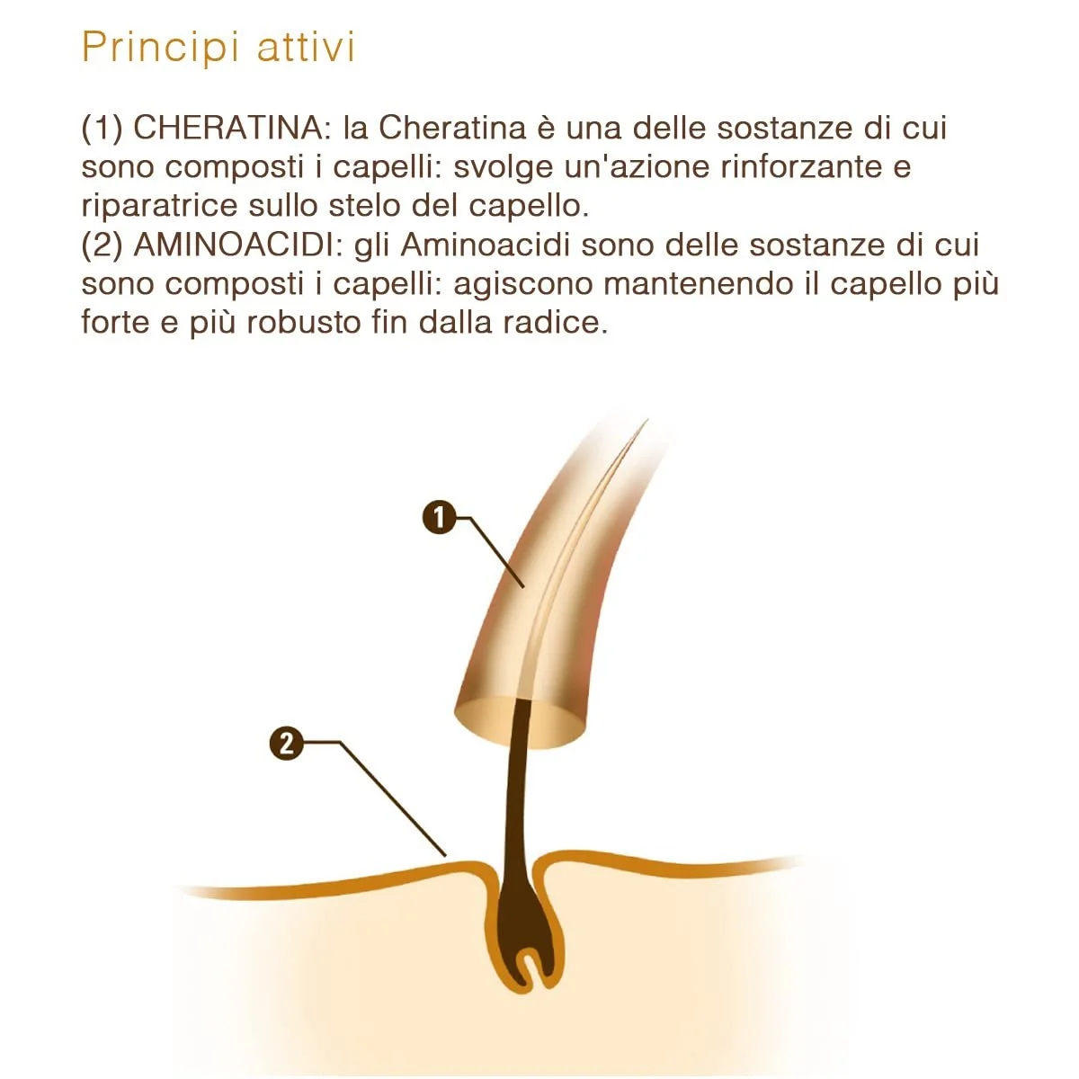 Ампули KERAMINE H AVORIO для сухого та тонкого волосся, фото №7
