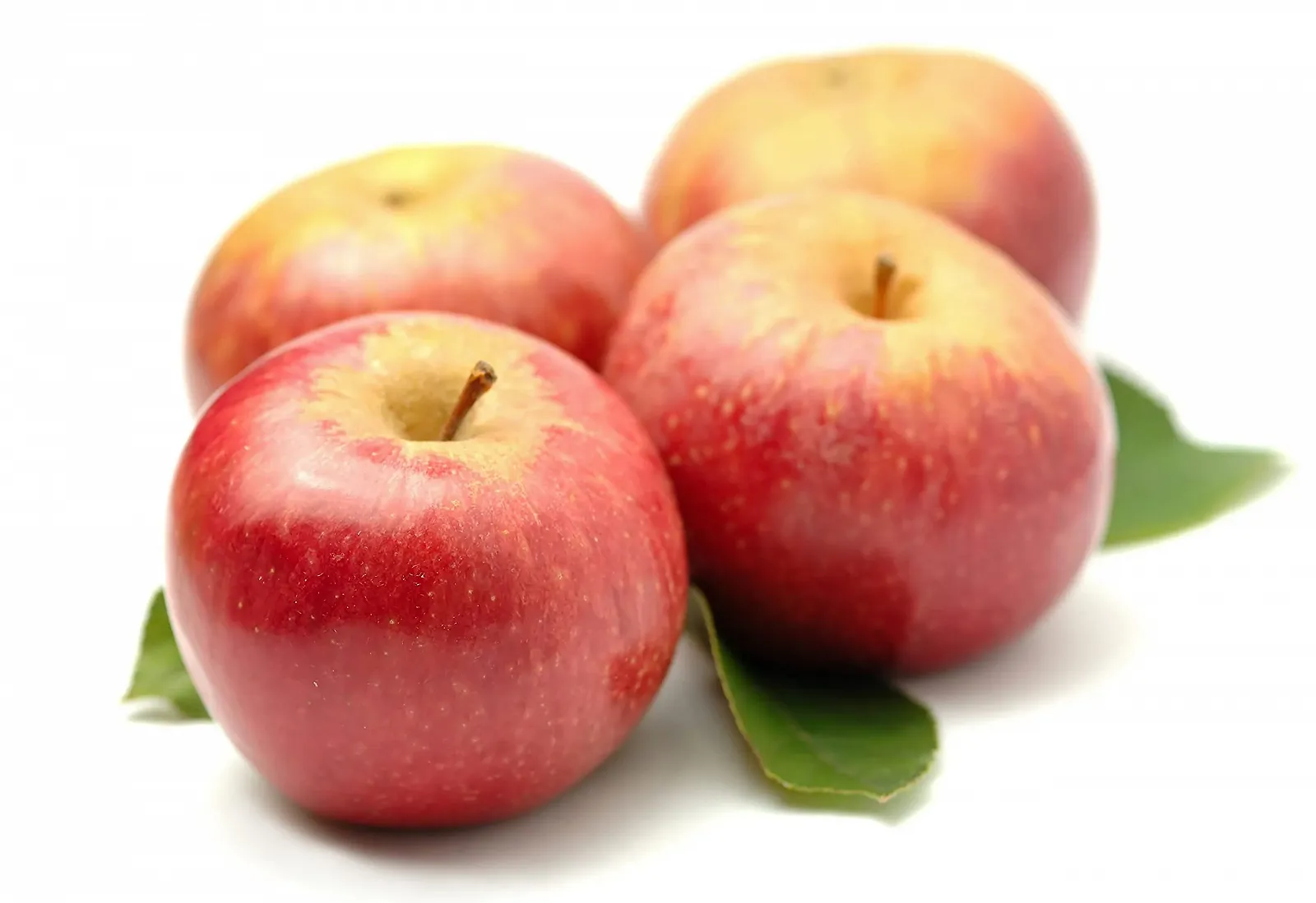 Ампули Annurkap Проти випадіння волосся Зміцнюючі Energy Zante, 10 ампул, фото №6