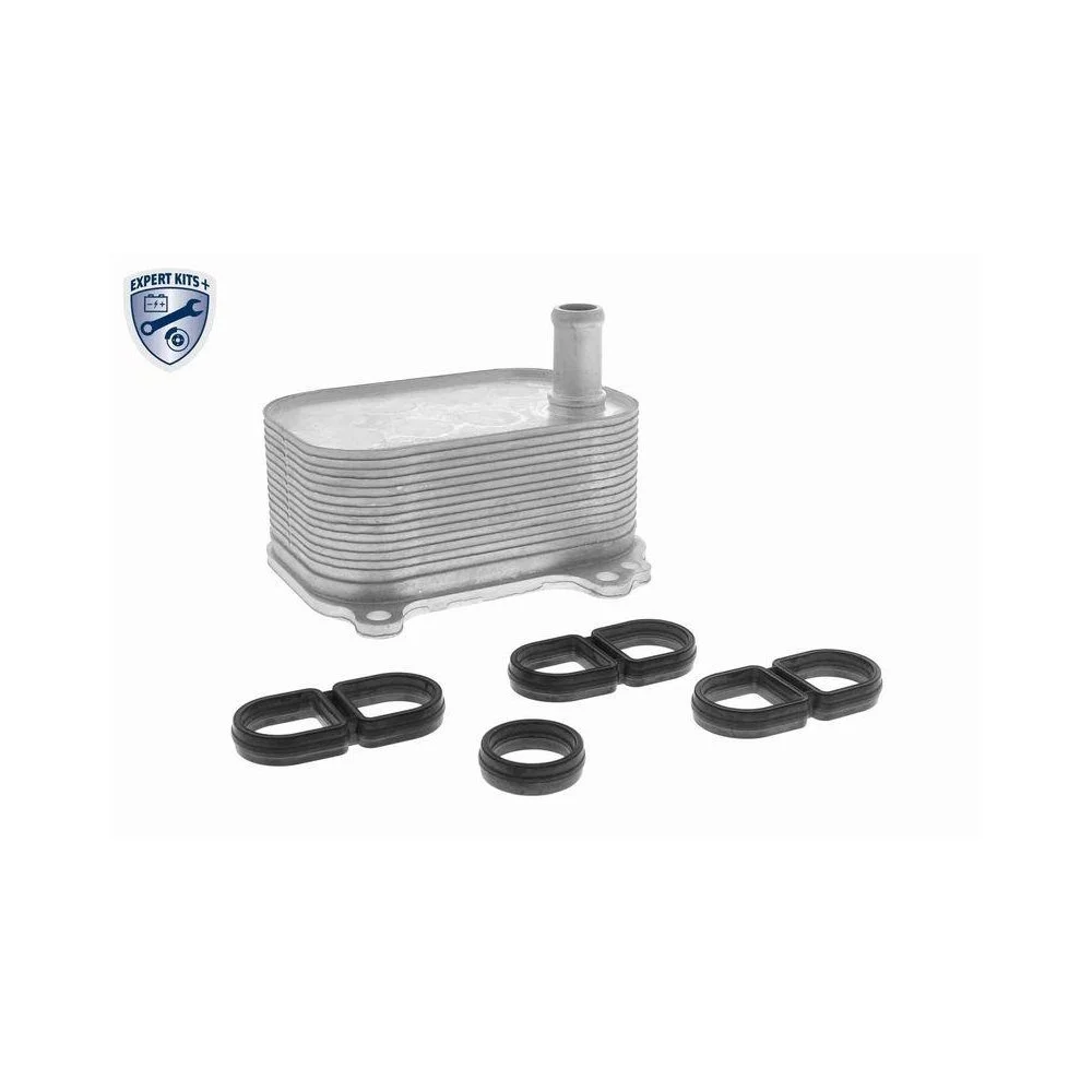 Масляний радіатор двигуна VEMO V10-60-0066 EXPERT KITS + для AUDI VW, фото №1 Масляний радіатор двигуна VEMO V10-60-0066 EXPERT KITS + для AUDI VW, фото №1