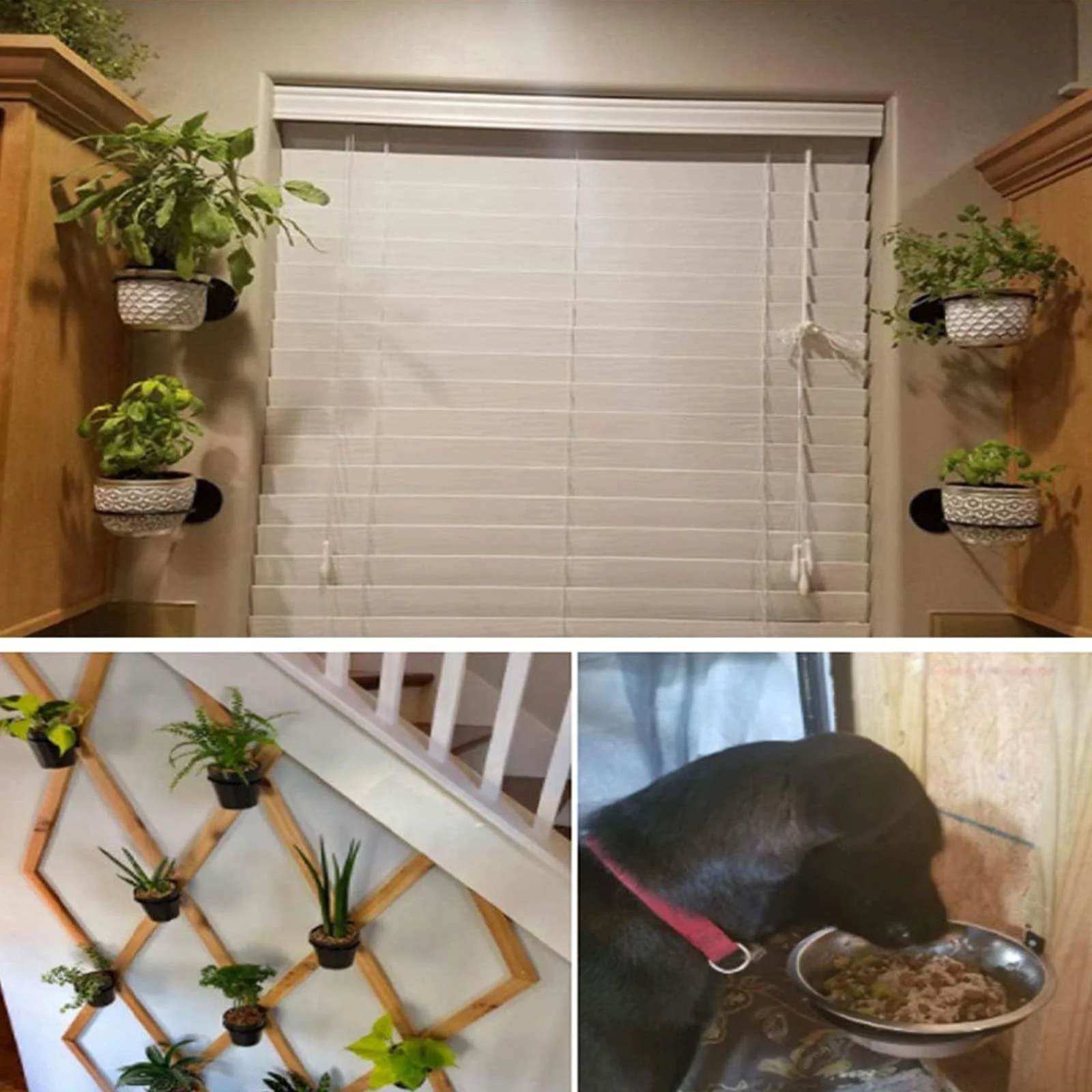 Держатель для цветочных горшков набор 2 шт. настенный кольцевой 10 см (4 дюйма) металлический Черный, фото №5