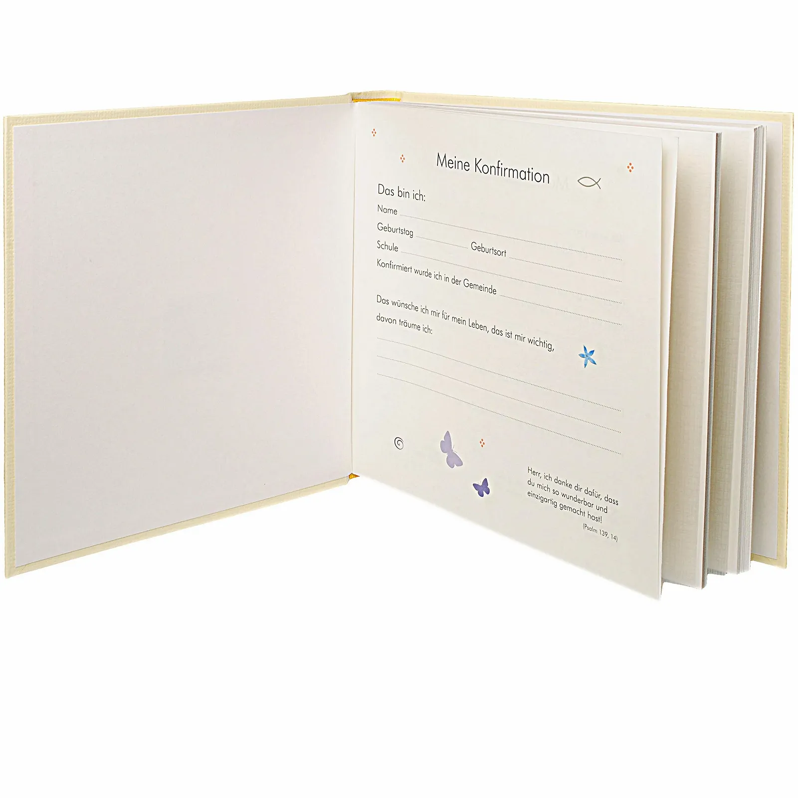 Фотоальбом Ichthys Бежевый и Голубой, 60 страниц, фото №4 Фотоальбом Ichthys Бежевый и Голубой, 60 страниц, фото №4