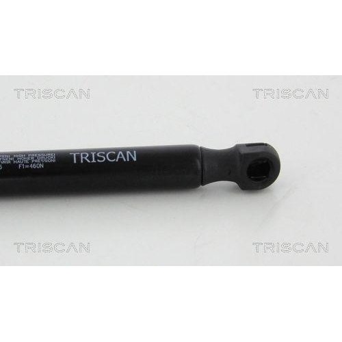 Амортизатор багажника TRISCAN 8710 10216 для JAGUAR, фото №2