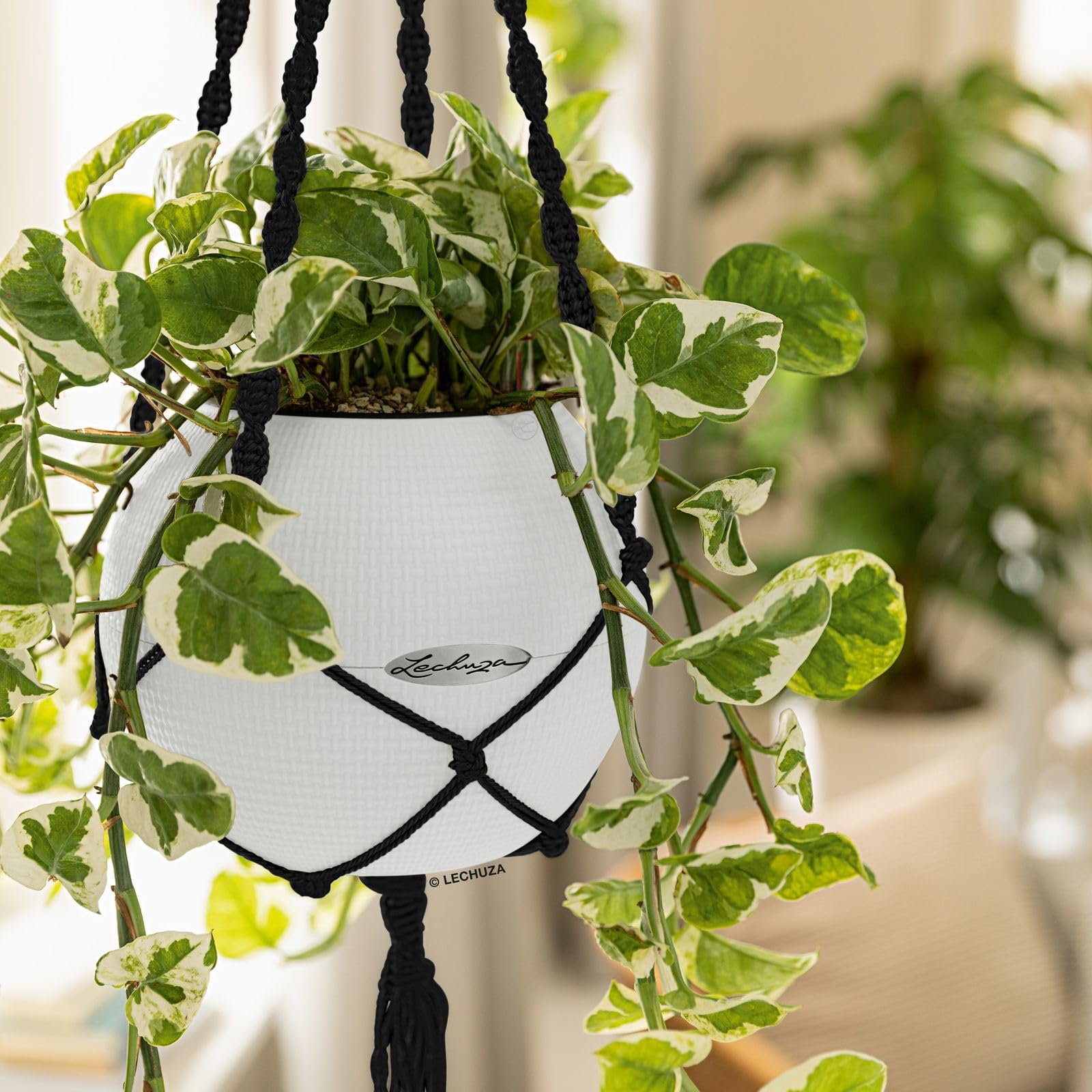 Подвесная корзина Lechuza Macrame 13878 черная, фото №2