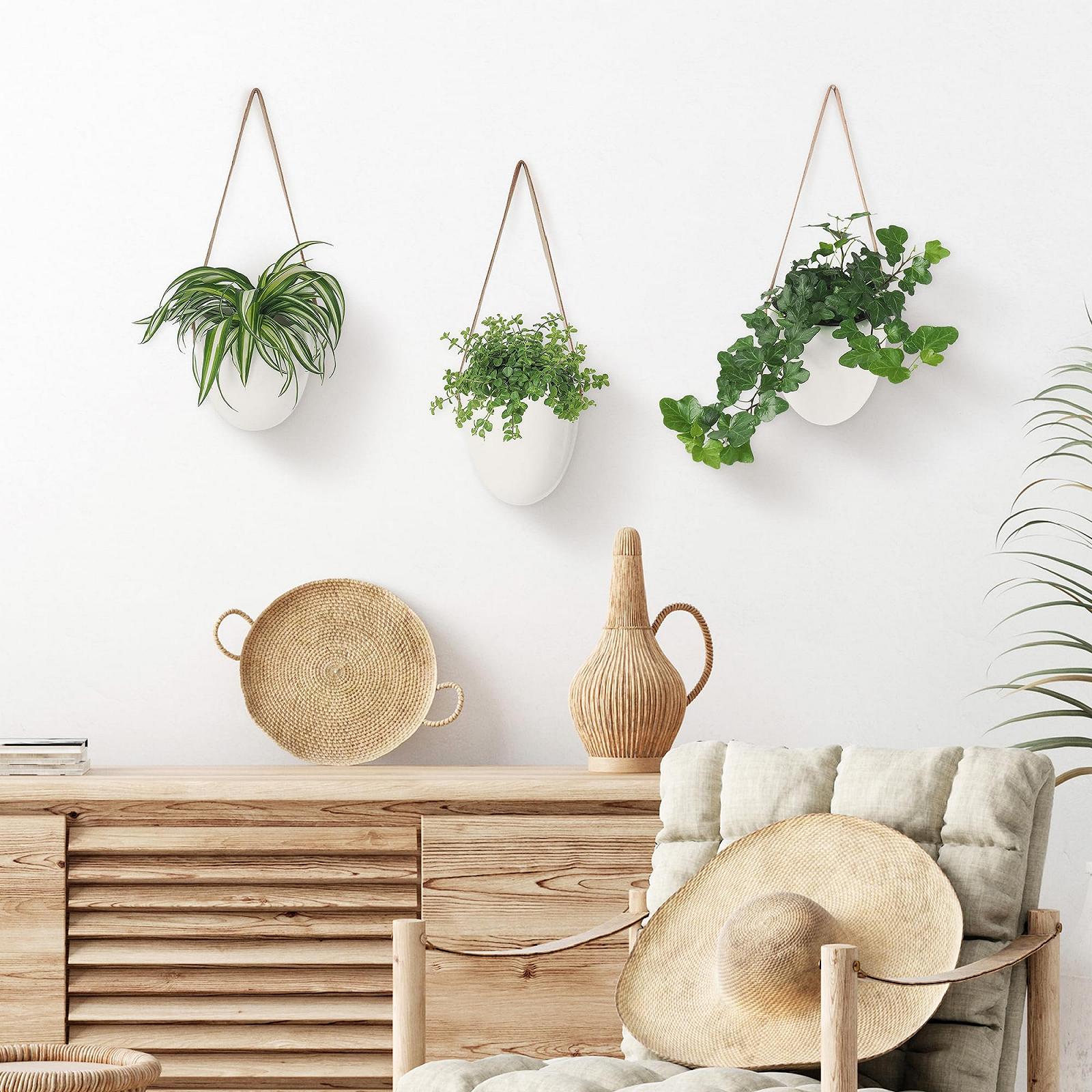 Підвісні горщики Gadgy Набір 3 шт. Керамічні з пласкою спинкою та шнурами Білий, фото №10 Підвісні горщики Gadgy Набір 3 шт. Керамічні з пласкою спинкою та шнурами Білий, фото №10