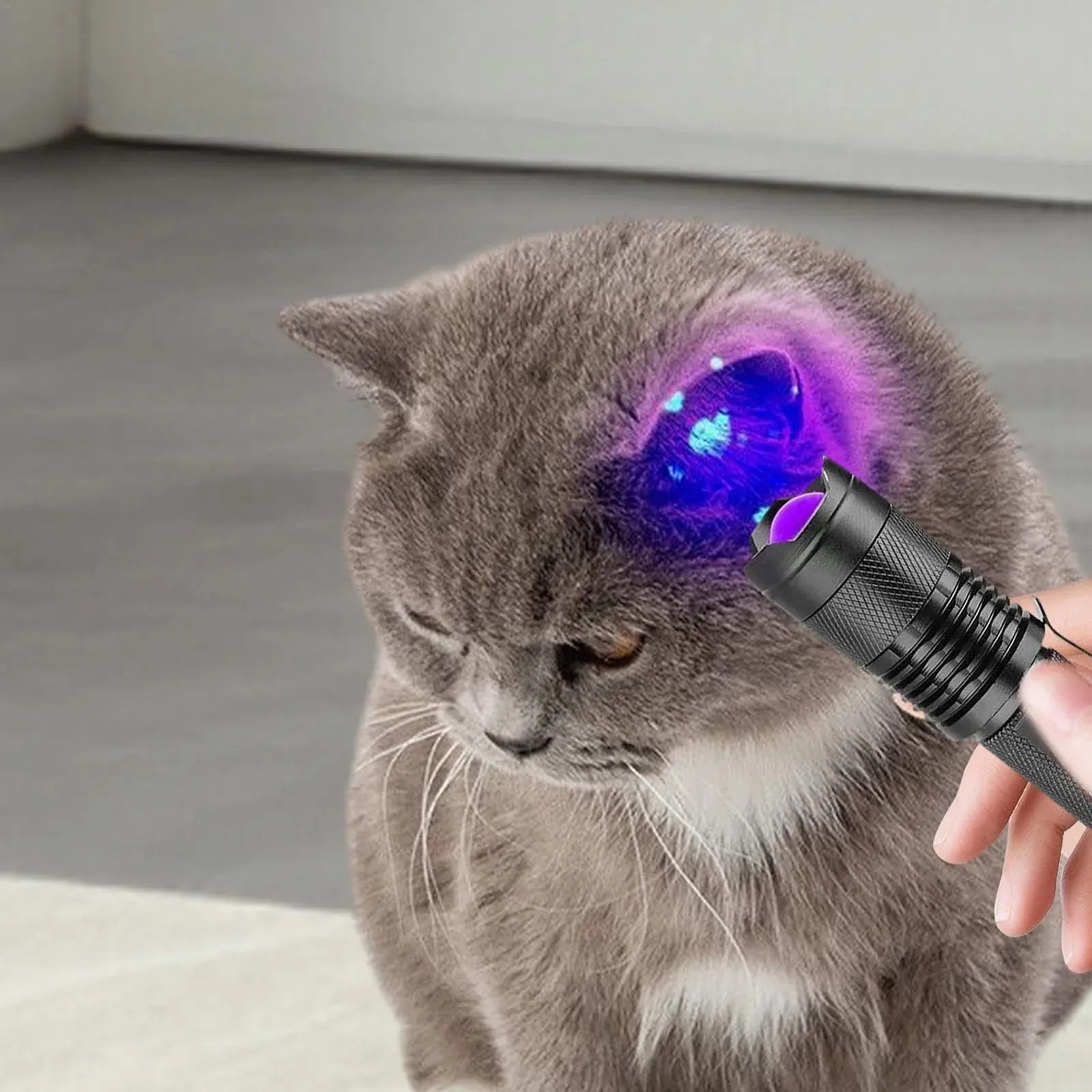 Фонарик УФ LED портативный, водонепроницаемый для обнаружения пятен мочи домашних животных, скорпионов, для кемпинга и домашнего использования, фото №2