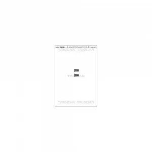 Комплект болтов тормозного диска TRISCAN 8105 116007 - Фото 1