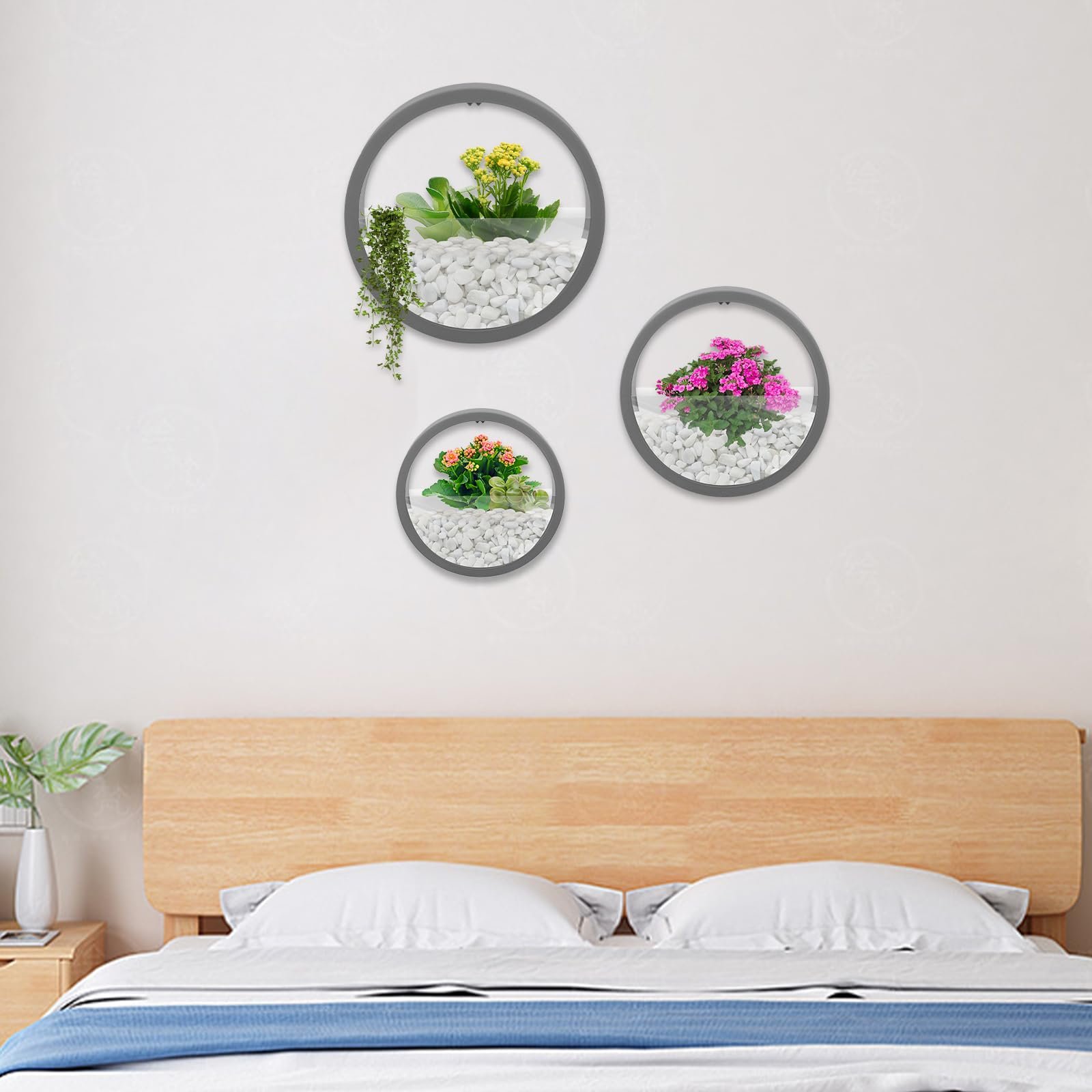 Настінні квіткові горщики 3 шт. Круглі ABS Сірий, фото №6 Настінні квіткові горщики 3 шт. Круглі ABS Сірий, фото №6