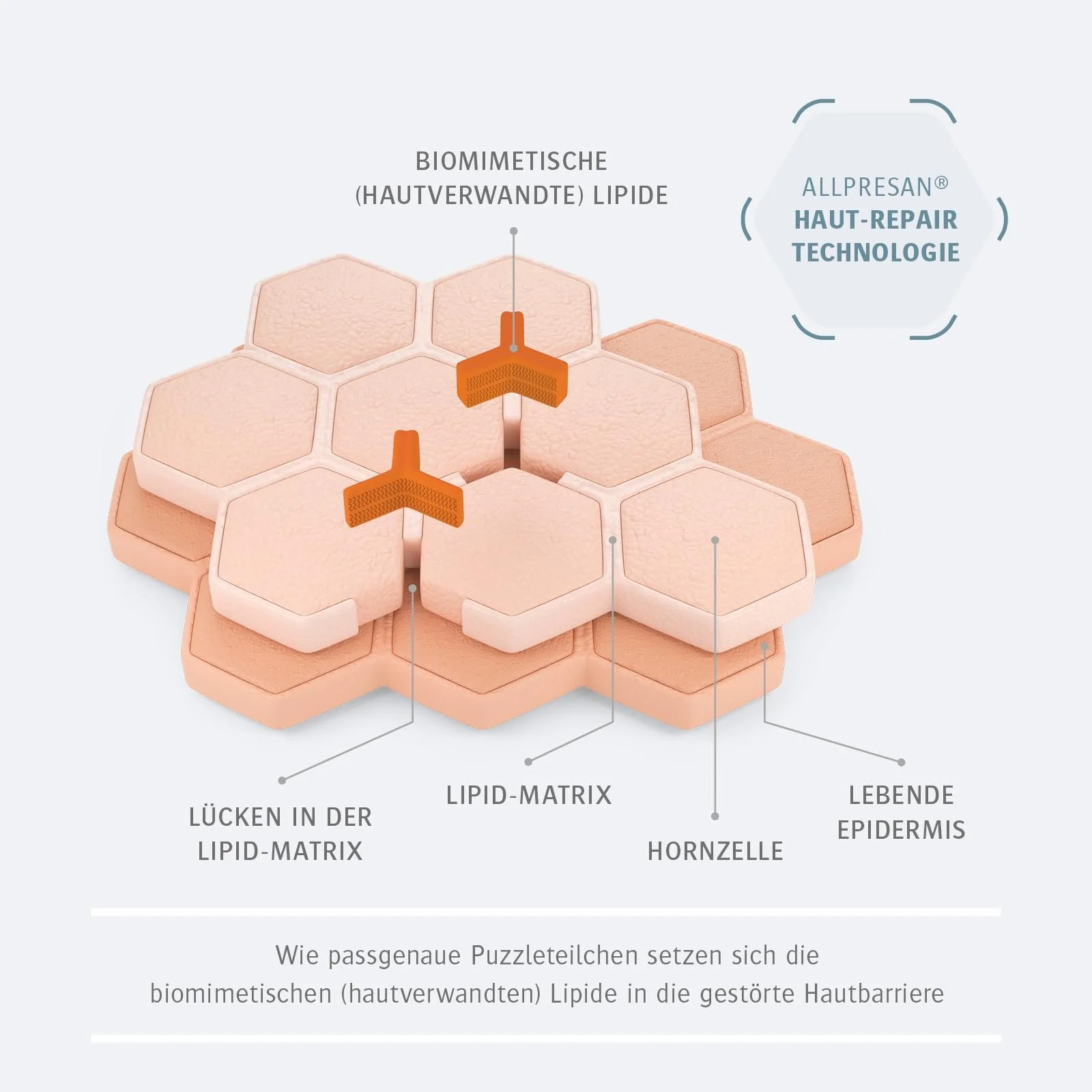 Крем-піна Allpresan Derma med Відновлювальний для рук Інтенсивний догляд 100 мл (2 шт. в упаковці), фото №7