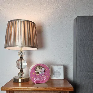 Скарбничка Керамічна Фея Wish Fulfiller synthetic.ua - Фото 1