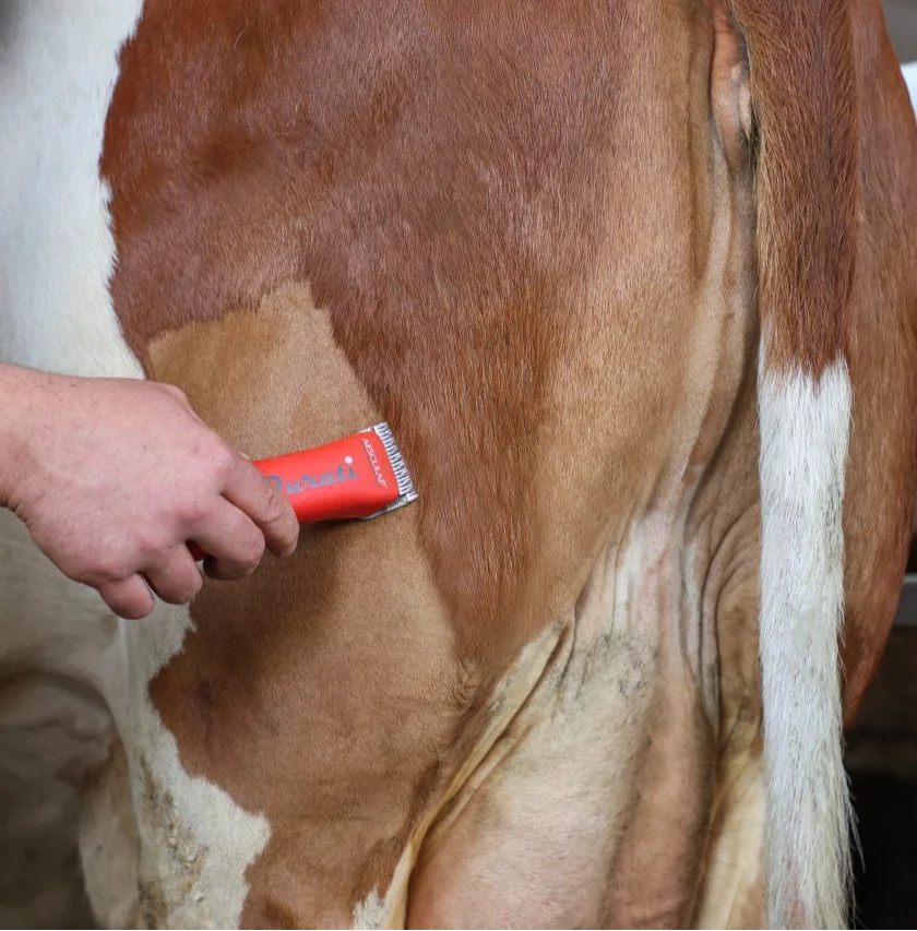 Бездротова машинка для стрижки Kerbl GT436-SR Червоний, фото №12 Бездротова машинка для стрижки Kerbl GT436-SR Червоний, фото №12