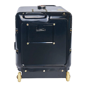 Дизельний генератор Warrior LDG6500SV3WRC-EU 5,5 кВт / 5 кВт Електричний пуск synthetic.ua - Фото 1