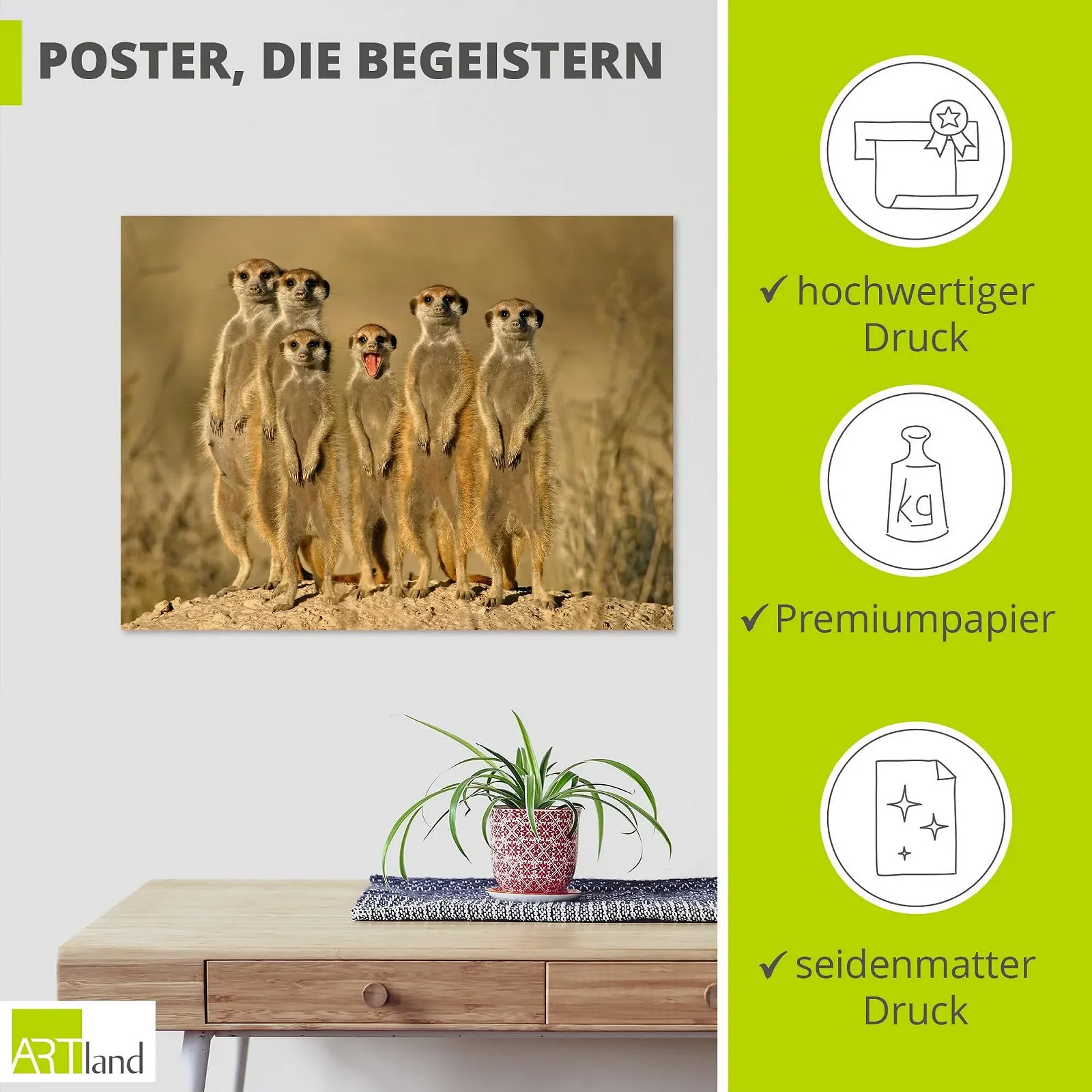 Постер ARTLAND Meerkat Family T5MH 40 x 30 см, фото №2
