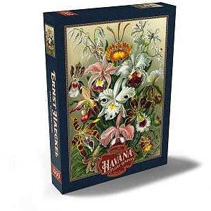 Пазл MyPuzzle Special Collection Orchid - Art Forms of Nature, Vintage Art Poster, Ernst Haeckel 1000 элементов synthetic.ua - Фото 1