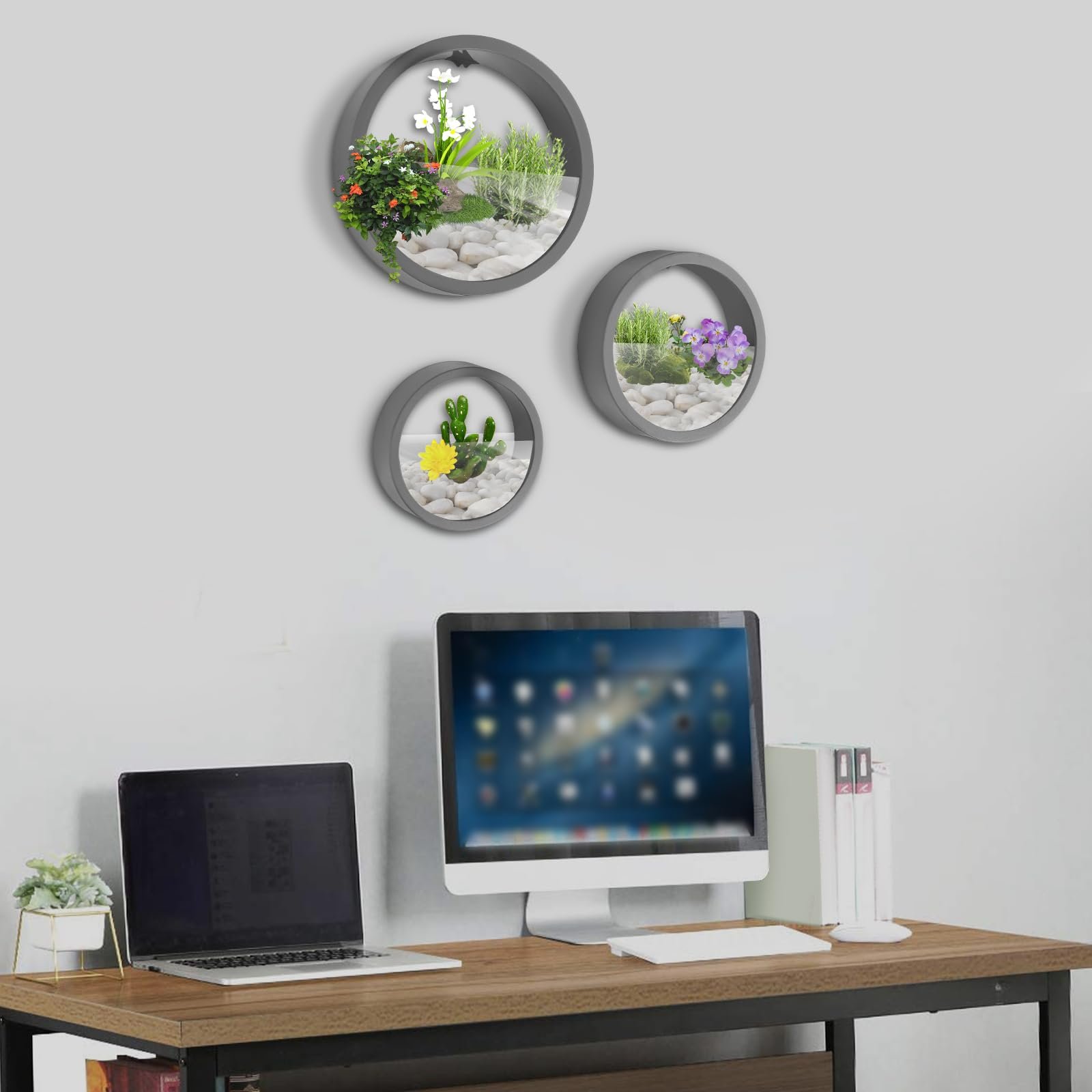 Настінні квіткові горщики 3 шт. Круглі ABS Сірий, фото №3 Настінні квіткові горщики 3 шт. Круглі ABS Сірий, фото №3