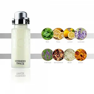 Туалетна вода Iceberg Twice Pour Homme 125мл synthetic.ua - Фото 1