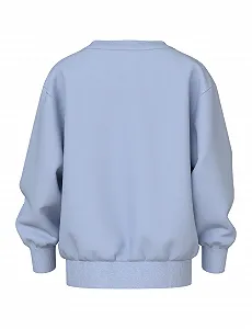 Толстовка NAME IT Boys Nmmvildar LS Nreg Sweat Bru synthetic.ua - Фото 1