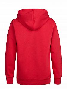 Худі Petrol Industries Artwork Wenatchee synthetic.ua - Фото 1