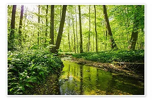 Постер Oliver Henze Fresh Green Forest 90 x 60 см Зеленый - Фото 1