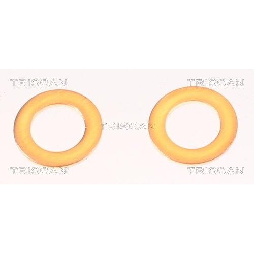 Гальмівний шланг TRISCAN 8150 42287 для MITSUBISHI, задня вісь, зовнішній, фото №4