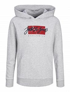 Толстовка з капюшоном Jack & Jones Jjtiley Sweat Hood Jnr (1 шт) - Фото 1