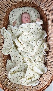 Муслиновый комплект в коляску, люльку: плед, простынь и подушка Сердечки бежевый synthetic.ua - Фото 1