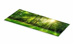 Постер Jan Christopher Becke Панорама леса с солнечными лучами летом 180 x 60 см Зеленый synthetic.ua - Фото 1