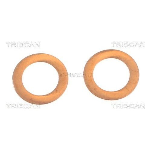 Гальмівний супорт TRISCAN 8175 24209 задня вісь зліва, фото №3 Гальмівний супорт TRISCAN 8175 24209 задня вісь зліва, фото №3