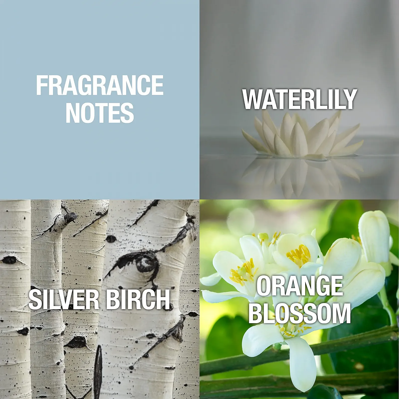 Парфумована вода Alfred Sung Shi 30 мл, фото №2