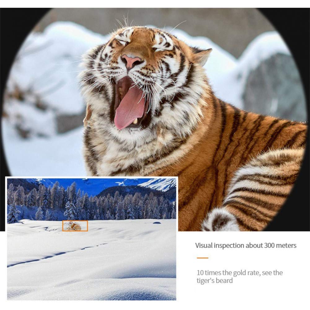 Монокуляр Beckers HD Телескоп Біноклі Збільшення Зелена Плівка Оптичний Висока Якість Туризм, фото №7