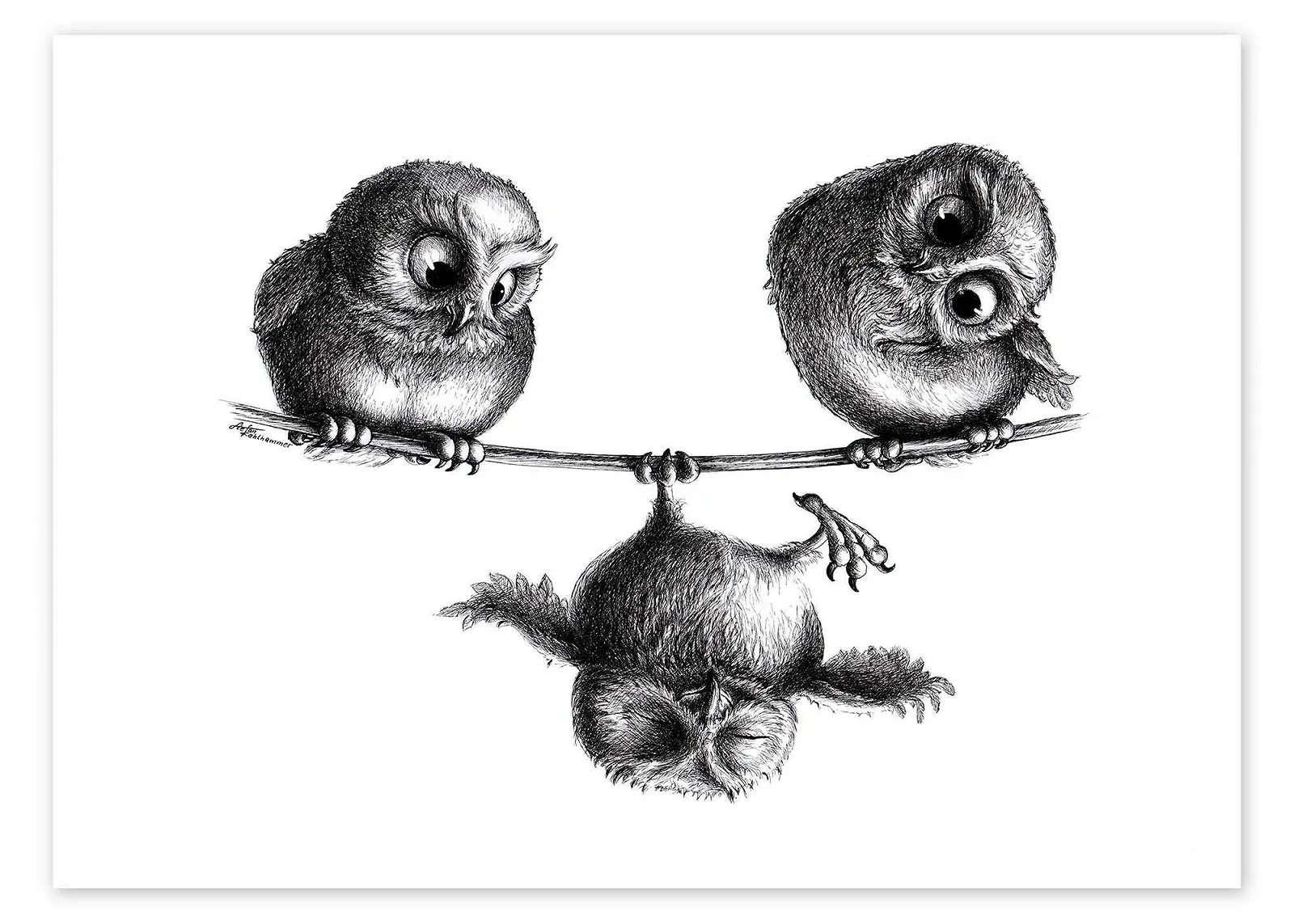 Постер Three Owls High Rope Act Stefan Kahlhammer 70 x 50 см Черно-белый Рисунок, фото №1