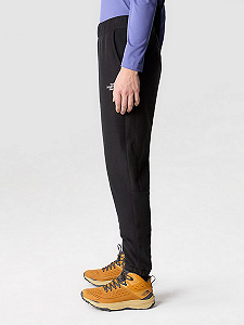 Штаны THE NORTH FACE GLACIER PANT M 100 Черный XL synthetic.ua - Фото 1