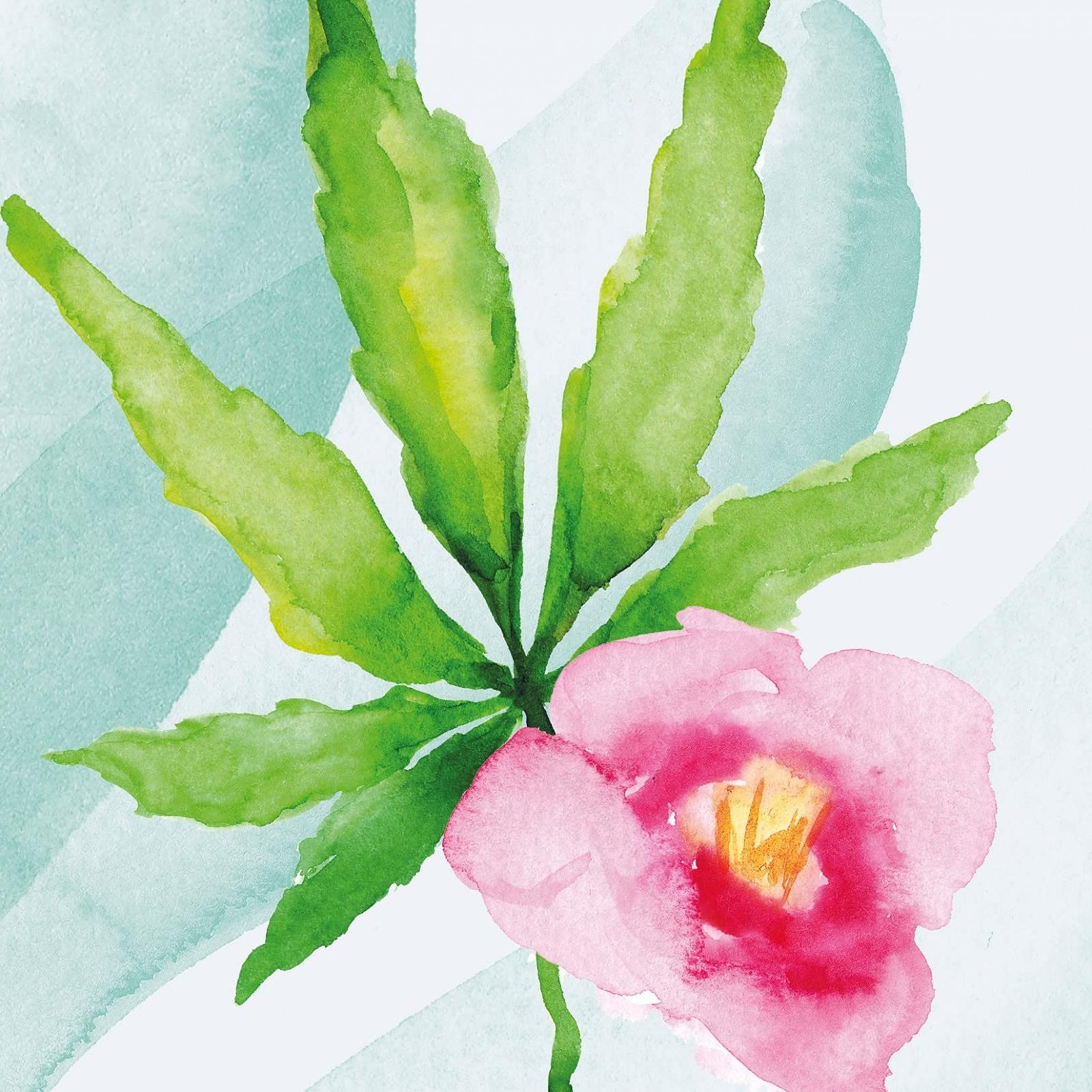 Крем-гель для душу Basic Floral Fruity з конопляною олією та олією камелії 500 мл, фото №7