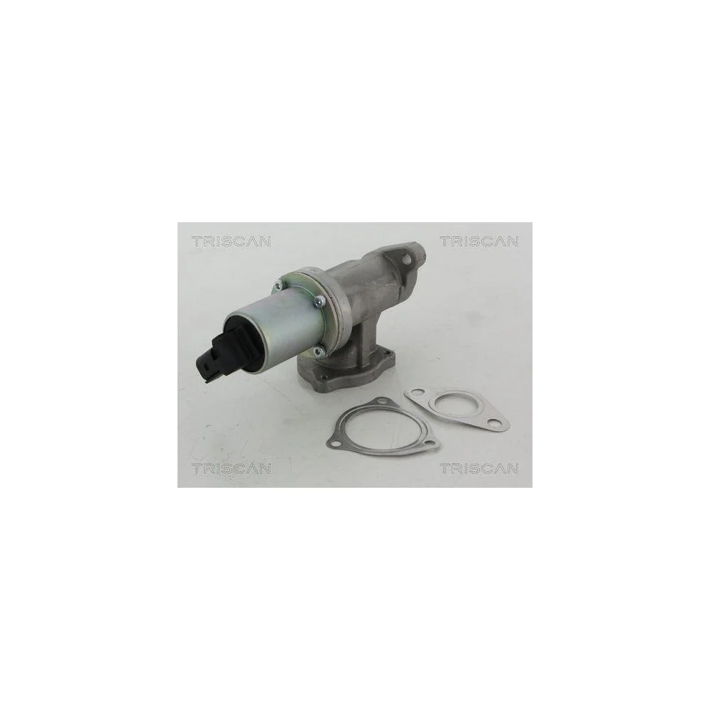 Клапан EGR TRISCAN 8813 43100 для HYUNDAI, фото №1